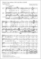 Placido è il mar, andiamo (Still ist das Meer, zu Schiffe) Standard