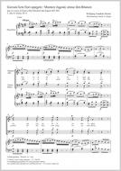 Giovani lieti fiori spargete (Muntere Jugend, streue ihm Blumen) Standard