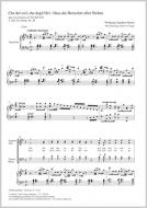 Che del ciel, che degli Dei (Dass die Herrscher aller Welten) Standard