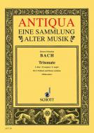 Triosonate C-Dur BWV 1037 Standard
