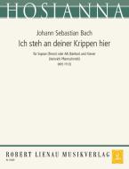 Ich steh an deiner Krippen hier Standard