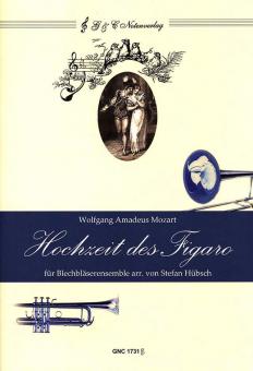 Hochzeit des Figaro (Wolfgang Amadeus Mozart) 