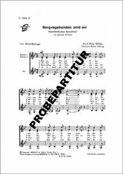 Bergvagabunden sind wir 