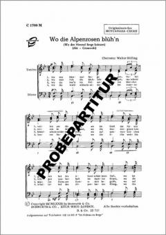 Wo die Alpenrosen blühn 