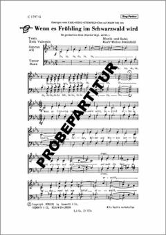 Wenn es Frühling im Schwarzwald wird 