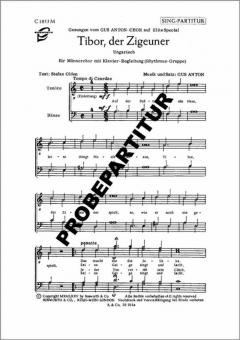 Tibor, der Zigeuner 