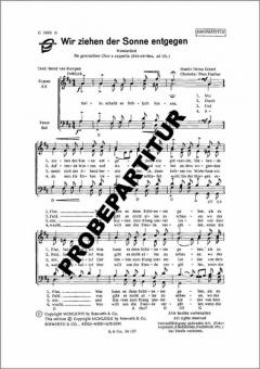 Wir ziehen der Sonne entgegen 