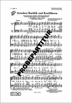 Zwischen Karibik und Kordilleren 