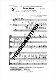 Cotton Fields 
