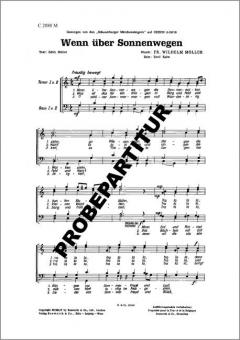 Wenn über Sonnenwegen 