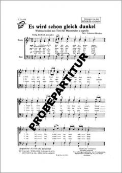 Es wird schon gleich dunkel 