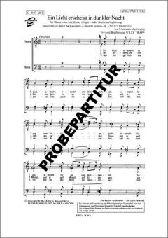 Ein Licht erscheint in dunkler Nacht 