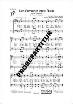 Des Sommers letzte Rose 