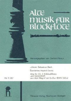 Esurientes implevit bonis BWV 243a 