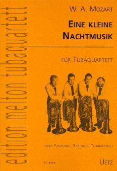 Eine kleine Nachtmusik 