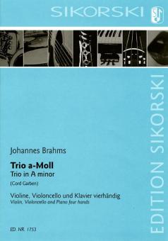 Trio a-Moll op. 102 