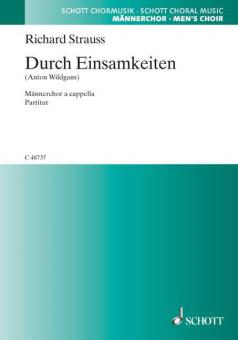 Durch Einsamkeiten op. AV. 124 Download