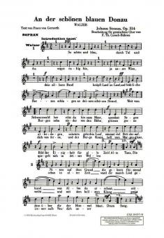 An der schönen blauen Donau 