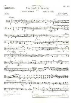 Eine Nacht in Venedig Download