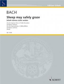 Schafe können sicher weiden BWV 208 Download