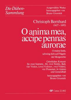 O anima mea, accipe pennas aurorae 