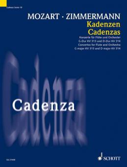 Kadenzen Download