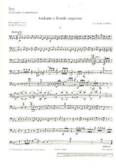 Andante und Rondo ungarese Download