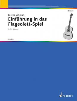 Einführung in das Flageolett-Spiel Download