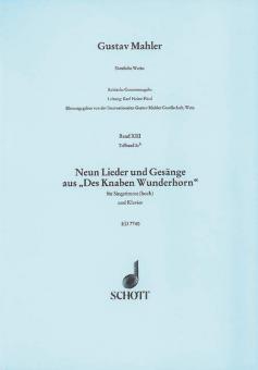 Sämtliche Werke Band XIII, 2ah Download