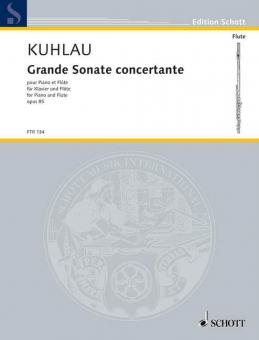 Grande Sonate concertante op. 85 Download