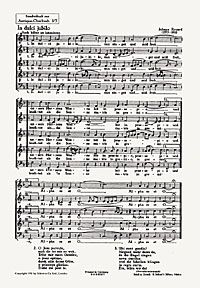 In dulci jubilo / Nun komm der Heiden Heiland 