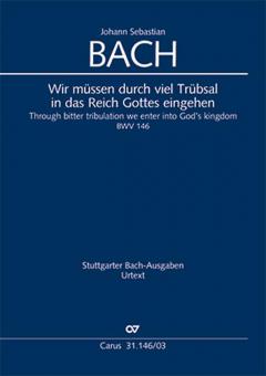 Wir müssen durch viel Trübsal Standard