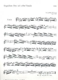 Erquicktes Herz, sei voller Freude 