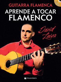 Aprende a Tocar Flamenco 