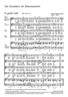 Die Choralsätze der Johannes-Passion 
