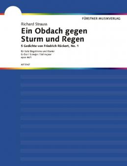 Ein Obdach gegen Sturm und Regen Download