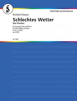 Schlechtes Wetter (hoch F-Dur) Download