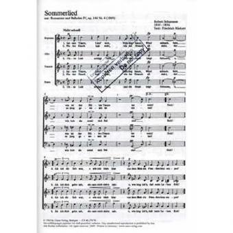 Sommerlied - Gute Nacht 