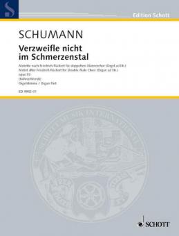 Verzweifle nicht im Schmerzenstal op. 93 Download