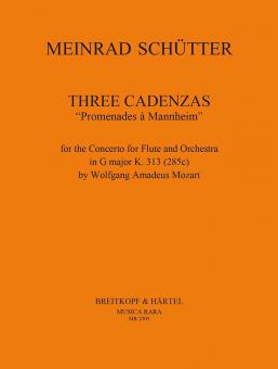 3 Kadenzen zu Mozarts Flötenkonzert KV 313 (285c) 