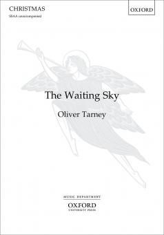 The Waiting Sky 