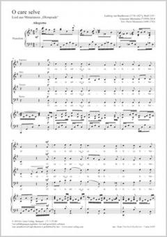 O care selve Standard