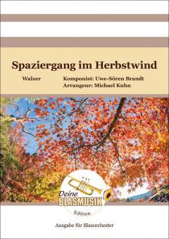 Spaziergang im Herbstwind 