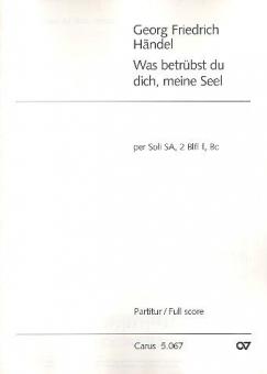 Was betrübst du dich 