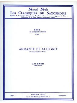 Sonate Nr. 1 (Violon): Andante Allegro 