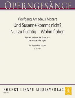Und Susanne kommt nicht - Nur zu flüchtig - Wohin flohen Download