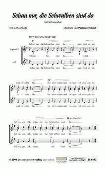 Schau nur, die Schwalben sind da 