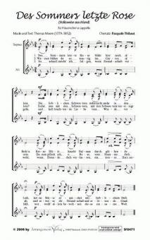 Des Sommers letzte Rose 