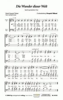 Die Wunder dieser Welt 