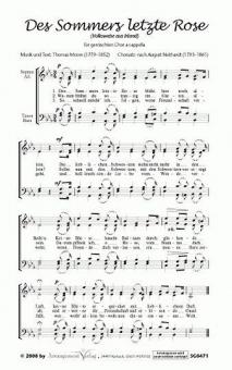 Des Sommers letzte Rose 